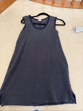 J. Crew Navy and White Striped Sleeveless Shift Dress